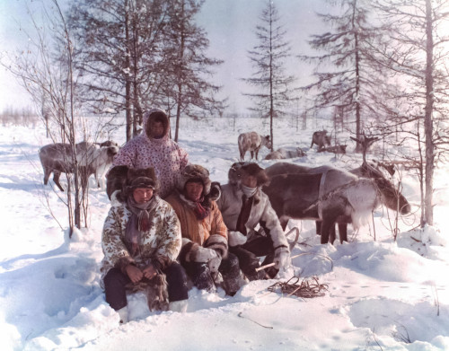Chukchi reindeer herders